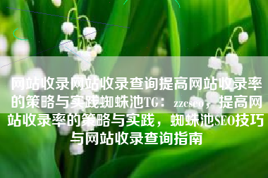 网站收录网站收录查询提高网站收录率的策略与实践蜘蛛池TG：zzcseo，提高网站收录率的策略与实践，蜘蛛池SEO技巧与网站收录查询指南