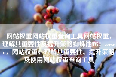 网站权重网站权重查询工具网站权重，理解其重要性及提升策略蜘蛛池TG：zzcseo，网站权重，理解其重要性、提升策略及使用网站权重查询工具