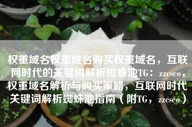 权重域名权重域名购买权重域名，互联网时代的关键词解析蜘蛛池TG：zzcseo，权重域名解析与购买策略，互联网时代关键词解析蜘蛛池指南（附TG，zzcseo）