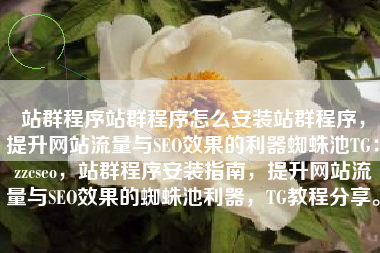 站群程序站群程序怎么安装站群程序，提升网站流量与SEO效果的利器蜘蛛池TG：zzcseo，站群程序安装指南，提升网站流量与SEO效果的蜘蛛池利器，TG教程分享。