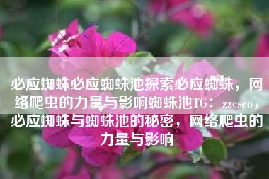 必应蜘蛛必应蜘蛛池探索必应蜘蛛，网络爬虫的力量与影响蜘蛛池TG：zzcseo，必应蜘蛛与蜘蛛池的秘密，网络爬虫的力量与影响