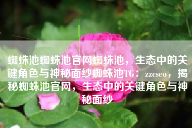 蜘蛛池蜘蛛池官网蜘蛛池，生态中的关键角色与神秘面纱蜘蛛池TG：zzcseo，揭秘蜘蛛池官网，生态中的关键角色与神秘面纱