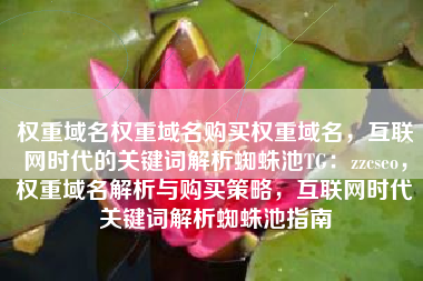 权重域名权重域名购买权重域名，互联网时代的关键词解析蜘蛛池TG：zzcseo，权重域名解析与购买策略，互联网时代关键词解析蜘蛛池指南