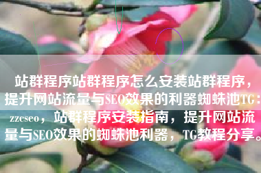 站群程序站群程序怎么安装站群程序，提升网站流量与SEO效果的利器蜘蛛池TG：zzcseo，站群程序安装指南，提升网站流量与SEO效果的蜘蛛池利器，TG教程分享。