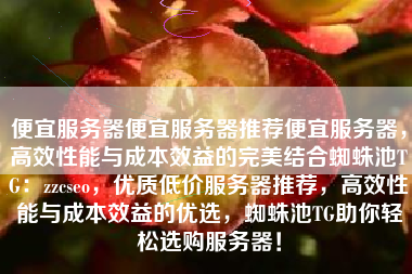 便宜服务器便宜服务器推荐便宜服务器，高效性能与成本效益的完美结合蜘蛛池TG：zzcseo，优质低价服务器推荐，高效性能与成本效益的优选，蜘蛛池TG助你轻松选购服务器！