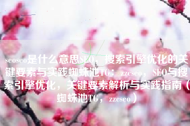 seoseo是什么意思SEO，搜索引擎优化的关键要素与实践蜘蛛池TG：zzcseo，SEO与搜索引擎优化，关键要素解析与实践指南（蜘蛛池TG，zzcseo）