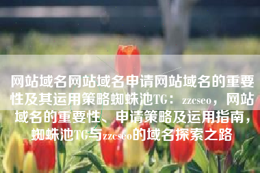 网站域名网站域名申请网站域名的重要性及其运用策略蜘蛛池TG：zzcseo，网站域名的重要性、申请策略及运用指南，蜘蛛池TG与zzcseo的域名探索之路