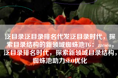 泛目录泛目录排名代发泛目录时代，探索目录结构的新领域蜘蛛池TG：zzcseo，泛目录排名时代，探索新领域目录结构，蜘蛛池助力SEO优化