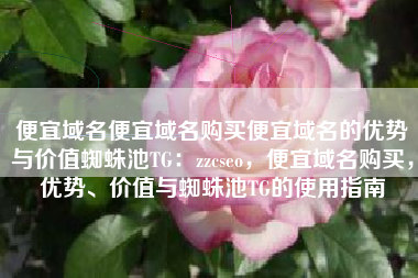 便宜域名便宜域名购买便宜域名的优势与价值蜘蛛池TG：zzcseo，便宜域名购买，优势、价值与蜘蛛池TG的使用指南