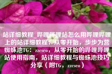 站详细教程_哔哩哔哩站怎么用哔哩哔哩上的站详细教程，从零开始，步步为营蜘蛛池TG：zzcseo，从零开始的哔哩哔哩站使用指南，站详细教程与蜘蛛池技巧分享（附TG，zzcseo）