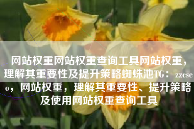 网站权重网站权重查询工具网站权重，理解其重要性及提升策略蜘蛛池TG：zzcseo，网站权重，理解其重要性、提升策略及使用网站权重查询工具