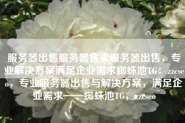 服务器出售服务器售卖服务器出售，专业解决方案满足企业需求蜘蛛池TG：zzcseo，专业服务器出售与解决方案，满足企业需求——蜘蛛池TG，zzcseo