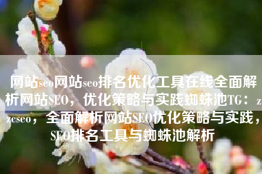 网站seo网站seo排名优化工具在线全面解析网站SEO，优化策略与实践蜘蛛池TG：zzcseo，全面解析网站SEO优化策略与实践，SEO排名工具与蜘蛛池解析