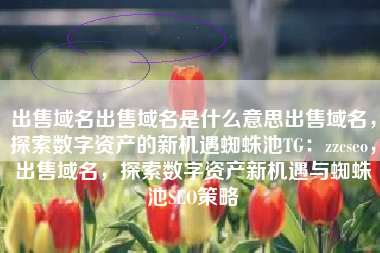 出售域名出售域名是什么意思出售域名，探索数字资产的新机遇蜘蛛池TG：zzcseo，出售域名，探索数字资产新机遇与蜘蛛池SEO策略