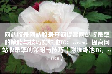 网站收录网站收录查询提高网站收录率的策略与技巧蜘蛛池TG：zzcseo，提高网站收录率的策略与技巧（附蜘蛛池TG，zzcseo）