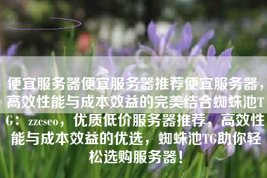 便宜服务器便宜服务器推荐便宜服务器，高效性能与成本效益的完美结合蜘蛛池TG：zzcseo，优质低价服务器推荐，高效性能与成本效益的优选，蜘蛛池TG助你轻松选购服务器！