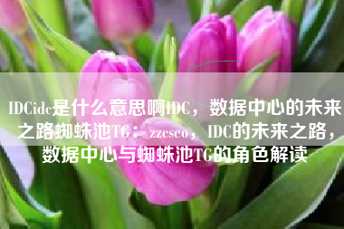 IDCidc是什么意思啊IDC，数据中心的未来之路蜘蛛池TG：zzcseo，IDC的未来之路，数据中心与蜘蛛池TG的角色解读