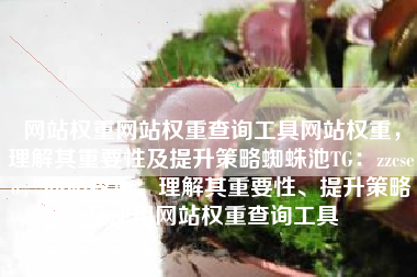 网站权重网站权重查询工具网站权重，理解其重要性及提升策略蜘蛛池TG：zzcseo，网站权重，理解其重要性、提升策略及使用网站权重查询工具
