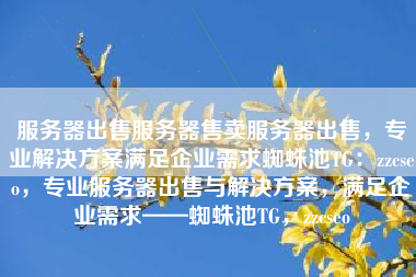 服务器出售服务器售卖服务器出售，专业解决方案满足企业需求蜘蛛池TG：zzcseo，专业服务器出售与解决方案，满足企业需求——蜘蛛池TG，zzcseo