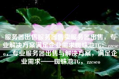 服务器出售服务器售卖服务器出售，专业解决方案满足企业需求蜘蛛池TG：zzcseo，专业服务器出售与解决方案，满足企业需求——蜘蛛池TG，zzcseo