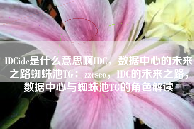 IDCidc是什么意思啊IDC，数据中心的未来之路蜘蛛池TG：zzcseo，IDC的未来之路，数据中心与蜘蛛池TG的角色解读