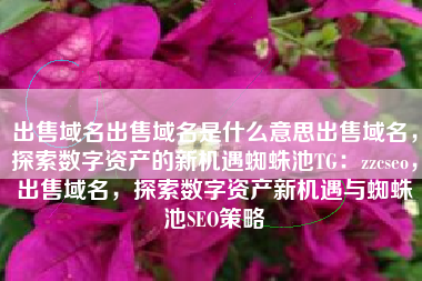 出售域名出售域名是什么意思出售域名，探索数字资产的新机遇蜘蛛池TG：zzcseo，出售域名，探索数字资产新机遇与蜘蛛池SEO策略