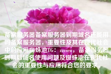 备案服务器备案服务器到期域名还能用吗备案服务器，重要性及其在现代社会中的应用蜘蛛池TG：zzcseo，备案服务器到期后域名使用问题及蜘蛛池在现代社会的重要性与应用符合您的要求。