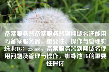 备案服务器备案服务器到期域名还能用吗备案服务器，重要性、操作与管理蜘蛛池TG：zzcseo，备案服务器到期域名使用问题及管理与操作，蜘蛛池TG的重要性探讨