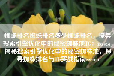 蜘蛛排名蜘蛛排名多少蜘蛛排名，探寻搜索引擎优化中的秘密蜘蛛池TG：zzcseo，揭秘搜索引擎优化中的秘密蜘蛛池，探寻蜘蛛排名与TG实战指南zzcseo