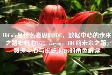 IDCidc是什么意思啊IDC，数据中心的未来之路蜘蛛池TG：zzcseo，IDC的未来之路，数据中心与蜘蛛池TG的角色解读