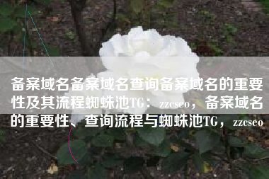 备案域名备案域名查询备案域名的重要性及其流程蜘蛛池TG：zzcseo，备案域名的重要性、查询流程与蜘蛛池TG，zzcseo