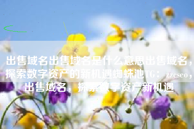 出售域名出售域名是什么意思出售域名，探索数字资产的新机遇蜘蛛池TG：zzcseo，出售域名，探索数字资产新机遇