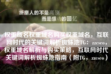 权重域名权重域名购买权重域名，互联网时代的关键词解析蜘蛛池TG：zzcseo，权重域名解析与购买策略，互联网时代关键词解析蜘蛛池指南（附TG，zzcseo）