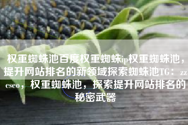 权重蜘蛛池百度权重蜘蛛ip权重蜘蛛池，提升网站排名的新领域探索蜘蛛池TG：zzcseo，权重蜘蛛池，探索提升网站排名的秘密武器