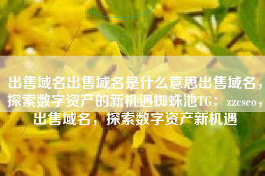 出售域名出售域名是什么意思出售域名，探索数字资产的新机遇蜘蛛池TG：zzcseo，出售域名，探索数字资产新机遇