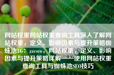 网站权重网站权重查询工具深入了解网站权重，定义、影响因素与提升策略蜘蛛池TG：zzcseo，网站权重，定义、影响因素与提升策略详解——使用网站权重查询工具与蜘蛛池SEO技巧