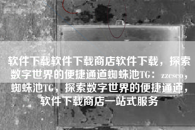 软件下载软件下载商店软件下载，探索数字世界的便捷通道蜘蛛池TG：zzcseo，蜘蛛池TG，探索数字世界的便捷通道，软件下载商店一站式服务