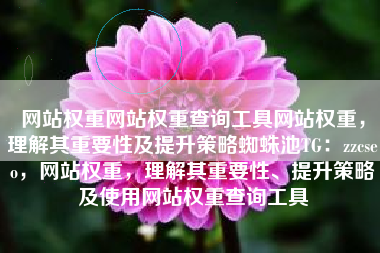 网站权重网站权重查询工具网站权重，理解其重要性及提升策略蜘蛛池TG：zzcseo，网站权重，理解其重要性、提升策略及使用网站权重查询工具