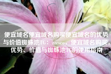 便宜域名便宜域名购买便宜域名的优势与价值蜘蛛池TG：zzcseo，便宜域名购买，优势、价值与蜘蛛池TG的使用指南