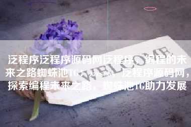 泛程序泛程序源码网泛程序，编程的未来之路蜘蛛池TG：zzcseo，泛程序源码网，探索编程未来之路，蜘蛛池TG助力发展