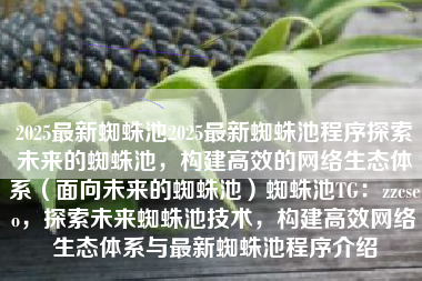 2025最新蜘蛛池2025最新蜘蛛池程序探索未来的蜘蛛池，构建高效的网络生态体系（面向未来的蜘蛛池）蜘蛛池TG：zzcseo，探索未来蜘蛛池技术，构建高效网络生态体系与最新蜘蛛池程序介绍