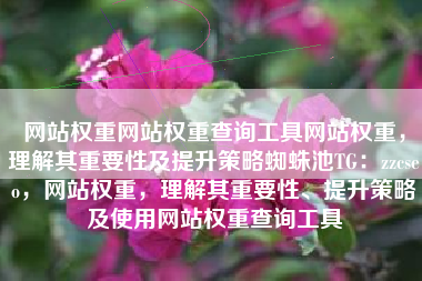 网站权重网站权重查询工具网站权重，理解其重要性及提升策略蜘蛛池TG：zzcseo，网站权重，理解其重要性、提升策略及使用网站权重查询工具