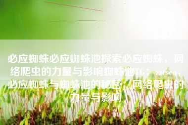 必应蜘蛛必应蜘蛛池探索必应蜘蛛，网络爬虫的力量与影响蜘蛛池TG：zzcseo，必应蜘蛛与蜘蛛池的秘密，网络爬虫的力量与影响