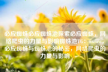 必应蜘蛛必应蜘蛛池探索必应蜘蛛，网络爬虫的力量与影响蜘蛛池TG：zzcseo，必应蜘蛛与蜘蛛池的秘密，网络爬虫的力量与影响