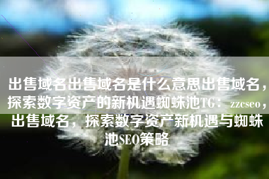 出售域名出售域名是什么意思出售域名，探索数字资产的新机遇蜘蛛池TG：zzcseo，出售域名，探索数字资产新机遇与蜘蛛池SEO策略