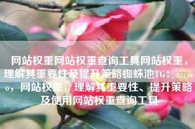 网站权重网站权重查询工具网站权重，理解其重要性及提升策略蜘蛛池TG：zzcseo，网站权重，理解其重要性、提升策略及使用网站权重查询工具