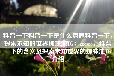 科普一下科普一下是什么意思科普一下，探索未知的世界蜘蛛池TG：zzcseo，科普一下的含义及探索未知世界的蜘蛛池TG介绍