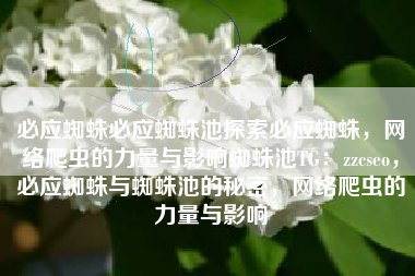 必应蜘蛛必应蜘蛛池探索必应蜘蛛，网络爬虫的力量与影响蜘蛛池TG：zzcseo，必应蜘蛛与蜘蛛池的秘密，网络爬虫的力量与影响