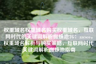 权重域名权重域名购买权重域名，互联网时代的关键词解析蜘蛛池TG：zzcseo，权重域名解析与购买策略，互联网时代关键词解析蜘蛛池指南