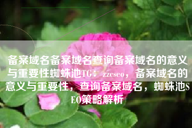 备案域名备案域名查询备案域名的意义与重要性蜘蛛池TG：zzcseo，备案域名的意义与重要性，查询备案域名，蜘蛛池SEO策略解析